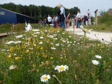 Idylle Zuidwolde is aangelegd op een nieuw bedrijventerrein