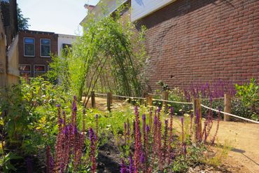 Groen schoolplein Casimirschool, Gouda