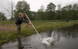 Jelger Herder Schepnetvissen