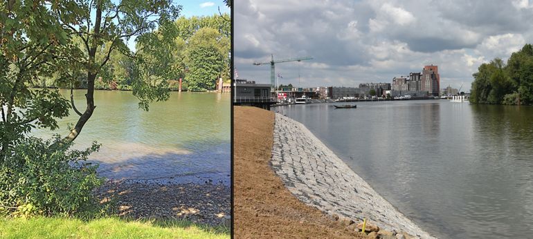 Links: De ondiepe geleidelijk aflopende oever voor de herinrichtingswerkzaamheden langs het Wantij. De oever vormde zowel geschikt leefgebied voor de gemeenschap van de Rivierrombout, als voor de gemeenschap van de Getijdeslak. Rechts: De oever na de herinrichting van de zuidoever aan de Schaerweide. Door de verdieping van de waterbodem en vernieuwing van de oever ging de natuurlijke getijdenzone en daarmee het leefgebied voor beide soortgemeenschappen verloren. 