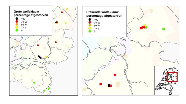 Stand van zaken van de in het voorjaar van 2019 onderzochte groeiplaatsen van Grote en Stekende wolfsklauw