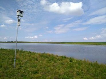 Een Batcorder registreert ultrasone geluiden van langsvliegende vleermuizen bij project Dubbele Dijk, waar de provincie Groningen ruimte biedt voor experimenten met zilte teelt, slibvang en natuurontwikkeling