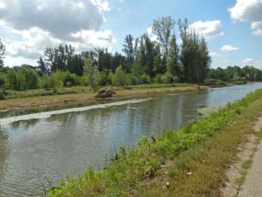 Er liggen grote kansen voor biodiversiteit. Zowel in smalle als in brede watergangen zoals hier