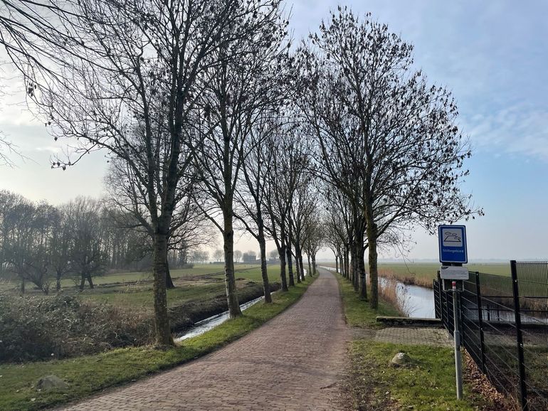Stiltegebied bij Eemnes met bomen in winterrust