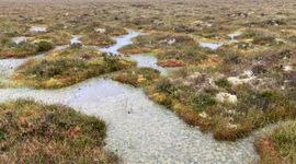 Hoogveen in Ierland