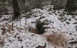 Burcht in winter VOOR EENMALIG GEBRUIK