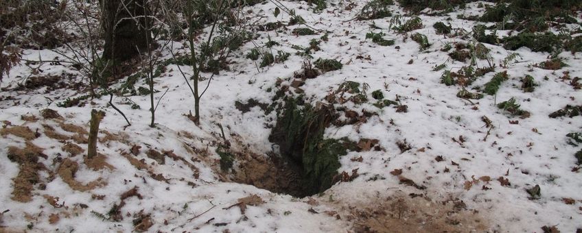 Burcht in winter VOOR EENMALIG GEBRUIK