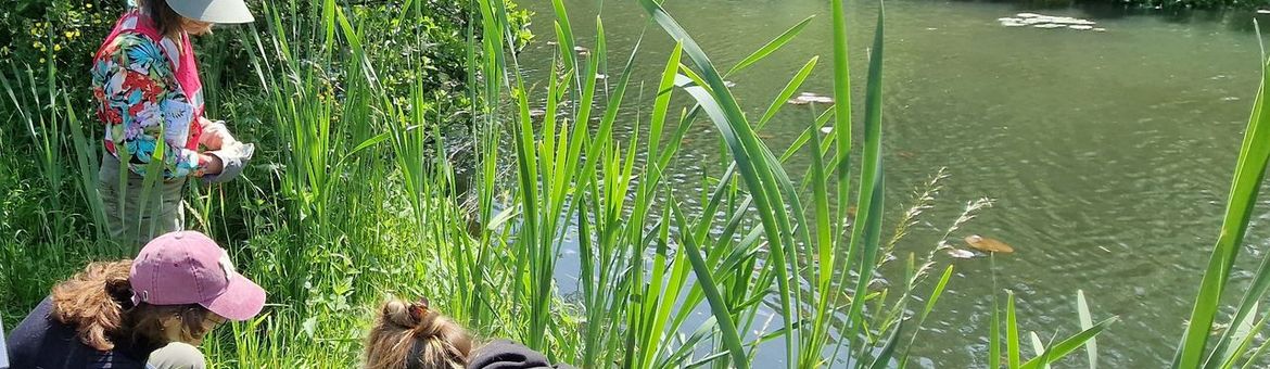 Groep vrijwilligers doet de oevercheck