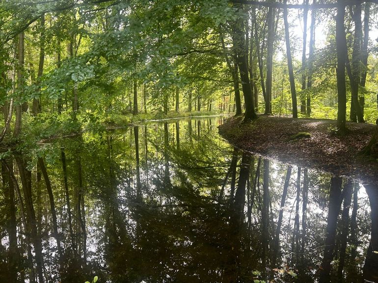 Doorkijkje Waterloopbos