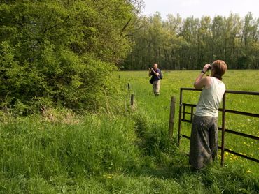 Waarnemingen doorgeven zorgt voor betere bescherming