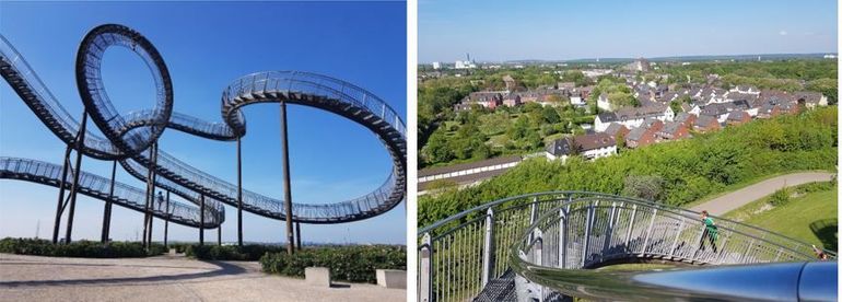 Tiger and Turtle