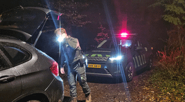 Boa controleert een auto