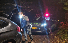 Boa controleert een auto