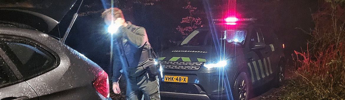 Boa controleert een auto