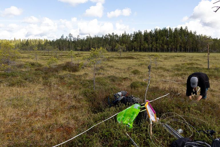 Bemonstering in de Zweden: onderzoekers verzamelen planten en planteneters