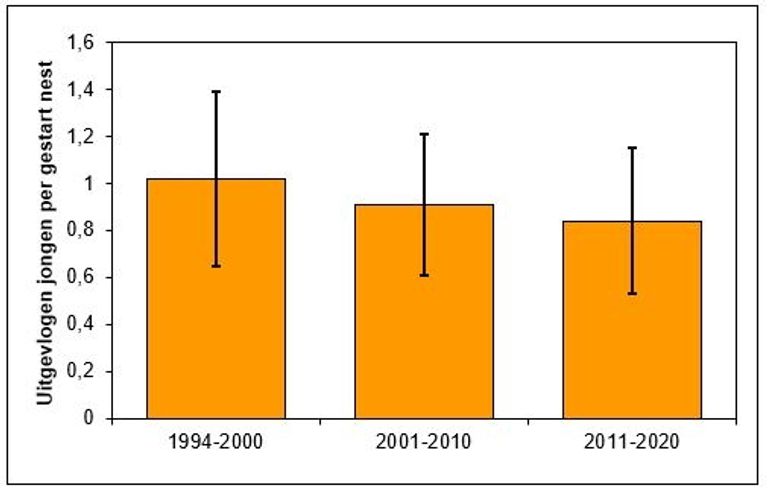 Het gemiddelde aantal uitgevlogen jongen per gestart merelnest in drie verschillende periodes (inclusief standaarddeviatie). Alle geregistreerde nesten binnen elke periode zijn samengevoegd (1994-2000: 690 nesten; 2001-2010: 833 nesten; 2011-2020: 421 nesten)