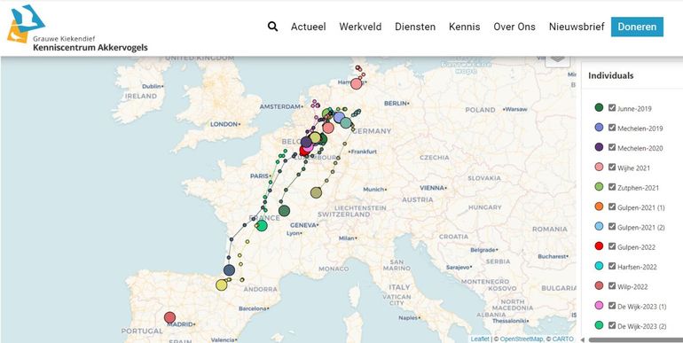 Trekroutes en laatste positie van 22 rode wouwen, situatie 3 oktober 2023