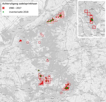 Verspreiding van de Zadelsprinkhaan in Gelderland