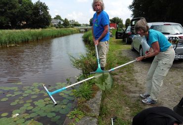 Teamwerk. Trekkers blijken ook geschikt te zijn om waterlelies mee binnen te harken