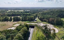 Provincie Utrecht Het nieuwe ecoduct verbindt Landgoed Het Kombos met Maarsbergen.