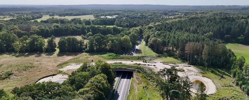 Het nieuwe ecoduct verbindt Landgoed Het Kombos met Maarsbergen.