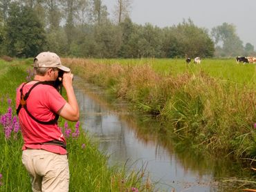 Een libellenteller in actie