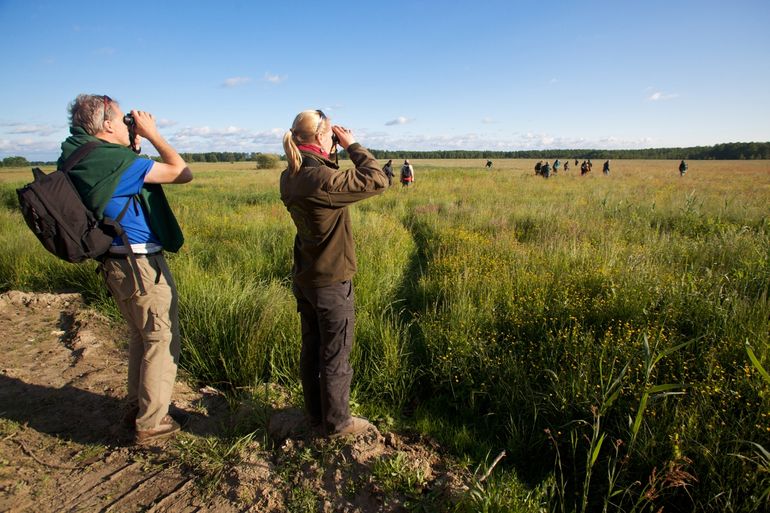 Nature tourism flourishes in the Oder Delta region, spreading between the border of Poland and Germany