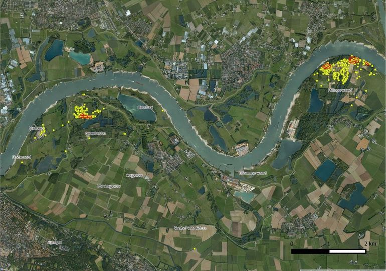 Rood omcirkeld zijn de uitzetlocaties, de gele stippen zijn de waarnemingen van de hooibeestjes tijdens de inventarisaties in 2013 tot en met 2015