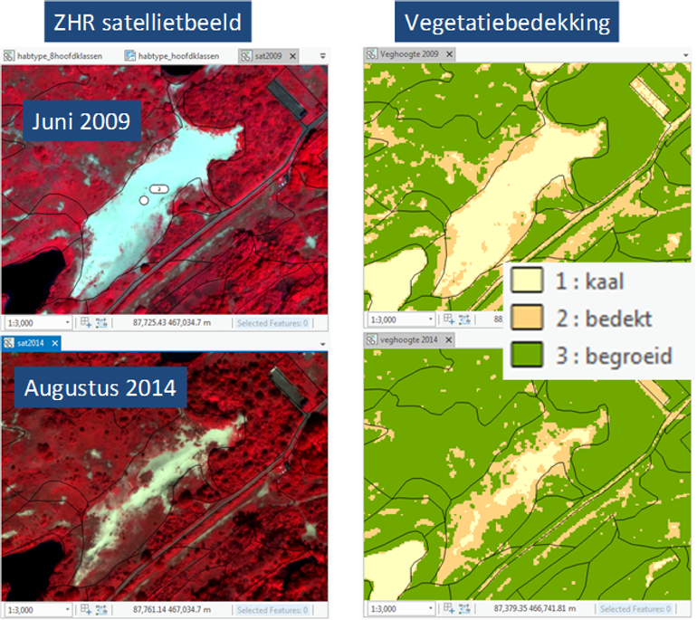 Figuur 1 Voorbeeld van de veranderingen in vegetatiestructuur tussen 2009 en 2014 voor een stukje duinen op basis van vegetatiebedekking. De zwarte lijnen geven de omgrenzing van de habitattypen weer. De rode kleuren in het satellietbeeld geven de vegetatie weer, water is zwart en de zeer lichte kleuren zijn zand. Begroeid zijn alle gebieden met opgaande begroeiing, bedekt is vegetatie zonder hoogte zoals korstmossen, en kaal is zand. In dit voorbeeld is de verruiging van de Grijze duinen in het centrum van het plaatje goed zichtbaar