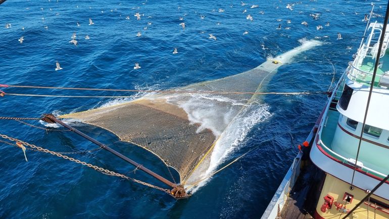 Het testen van het Nieuw-Zeelandse vistuig de kiwi-kuil op de Noordzee, waarmee overlevingskansen van in zee teruggezette bijvangst worden vergroot