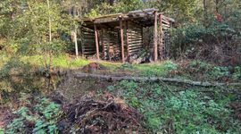De 'wintertuin' laat je zo veel mogelijk met rust om biodiversiteit te stimuleren