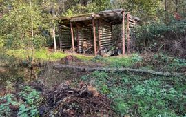 De 'wintertuin' laat je zo veel mogelijk met rust om biodiversiteit te stimuleren