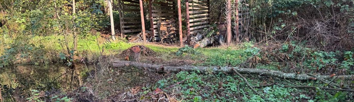 De 'wintertuin' laat je zo veel mogelijk met rust om biodiversiteit te stimuleren