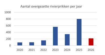 Aantal overgezette rivierprikken per jaar