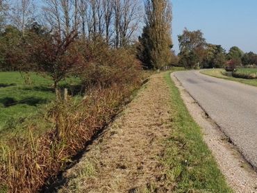 Klepelen (het verhakselen en laten liggen van de vegetatie) is slecht voor de biodiversiteit en niet toegestaan binnen Kleurkeur