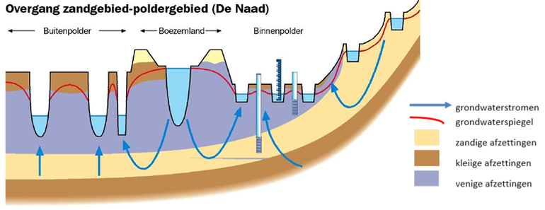 Schematisch overzicht van de grondwaterstromen in de Naad van Brabant