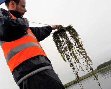 Michiel Verhofstad op het water voor het onderzoek naar Doorgroeid fonteinkruid