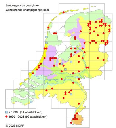 Verspreiding Glinsterende champignonparasol