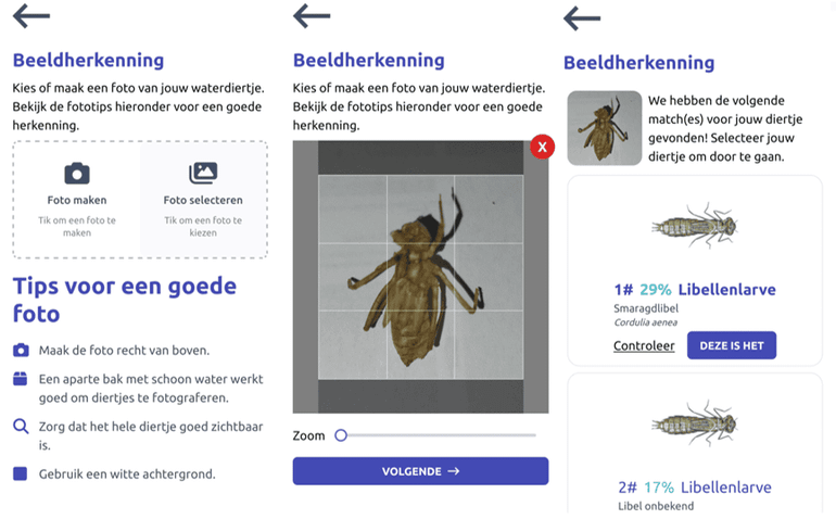 Verschillende stappen bij het gebruik van de beeldherkenningsfunctie binnen Waterdiertjes.nl, met suggesties voor de identificatie