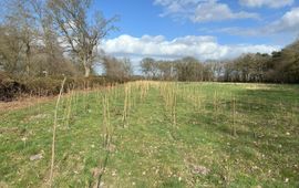 Marrie Hoedelmans Linde, zoete kers, meidoorn, haagbeuk, hazelaar… we hebben dankzij LIFE Climate Forest wel 9 verschillende soorten kunnen planten.