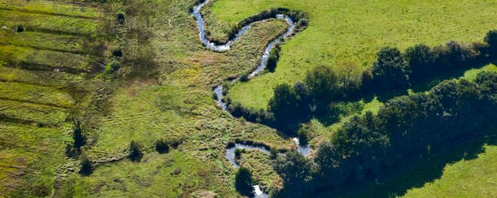 Nature Today | WWF Living Planet Report: Nederlandse Natuur In Grote ...