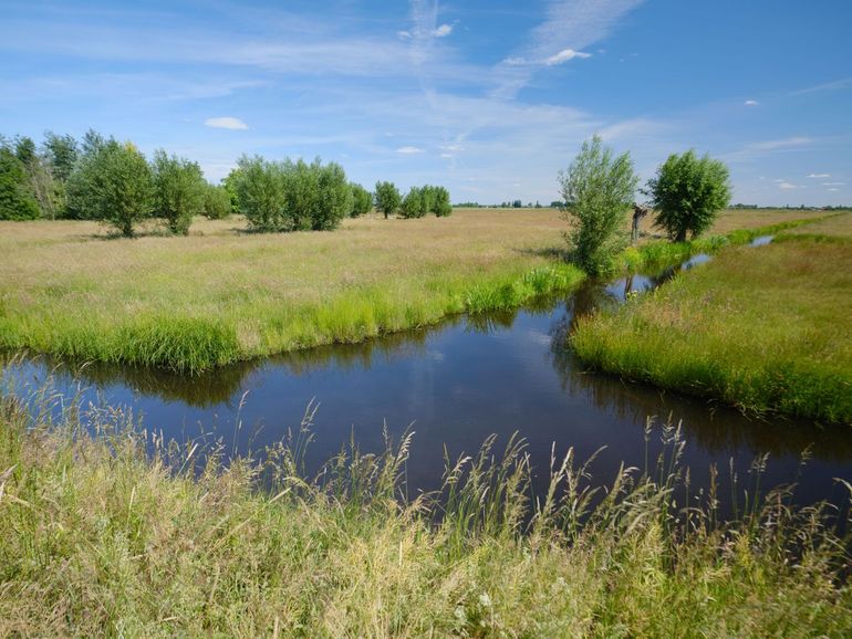 Natura 2000-gebied de Donkse Laagten wordt door Staatsbosbeheer verpacht aan lokale boeren. Er liggen waardevolle bloemrijke graslanden (fase 4) en het gebied heeft een groeiende populatie weidevogels. Veel van de lokale boeren doen op hun aangrenzende percelen aan agrarisch natuur- en landschapsbeheer (ANLb). Zeven van de 29 onderzochte percelen lagen in de Donkse Laagten