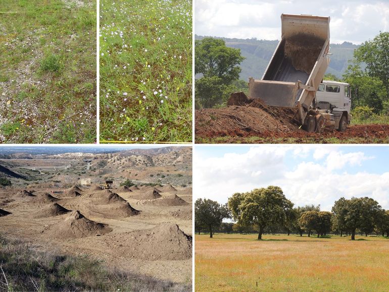 Bodemtransplantatie gebeurt op allerlei manieren wereldwijd. Van linksboven met de klok mee: grasland bij München (Duitsland) zonder (l) en met (r) behandeling 20 jaar eerder; bodemtransplantatie in actie voor droog tropisch bos bij Brasilia (Brazilië); dehesa boslandbouw-voorbeeldgebied bij Salamanca (Spanje); voorbereidingen in het kustgebied van Orange County in Californië (VS). Wat werkt goed, en waarom?