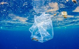 Plastic bag with a crab inside in the ocean