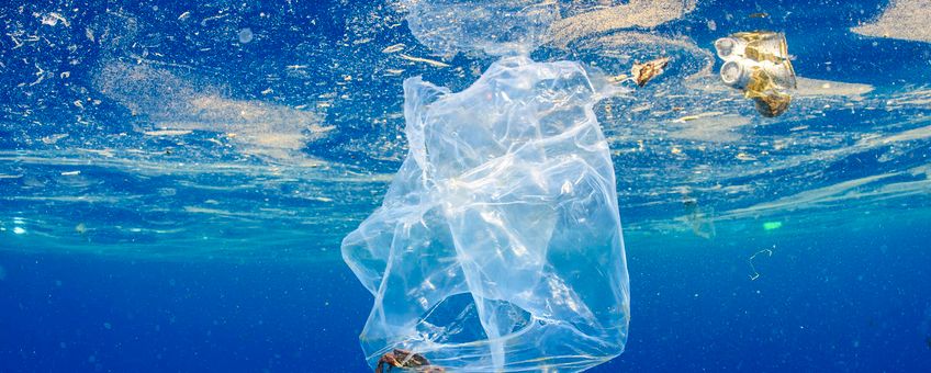 Plastic bag with a crab inside in the ocean