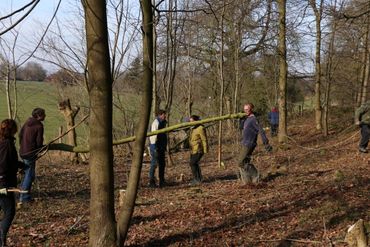 Kleinschalig beheer met vrijwilligers geeft over twee jaar een prachtig habitat