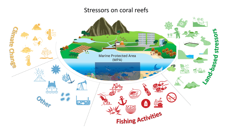 Graphical abstract showing multiple stressors affecting coral reefs in a marine protected area
