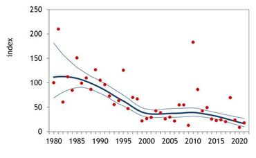Figuur 3. Trend van de ruigpootbuizerd op basis van het PTT-project in de periode december 1980 tot 2021