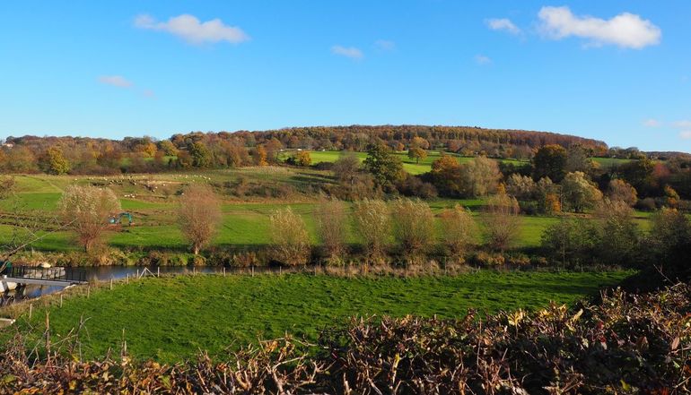In het Geuldal keren oude lijnen terug in het landschap. Hagen en graften die door schaalvergroting verdwenen, worden opnieuw aangelegd. Ze herstellen niet alleen het historische, kleinschalige landschap, maar remmen ook regenwater af, zodat het langer wordt vastgehouden en beter in de bodem kan zakken