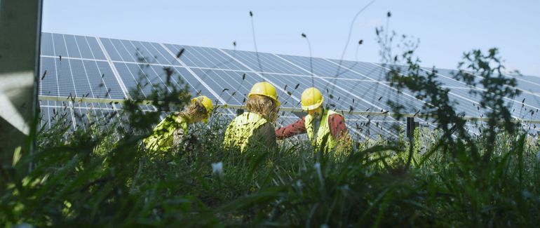 Onderzoekers meten de biodiversiteit rond de zonnepanelen 